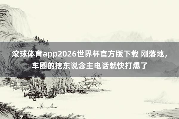 滚球体育app2026世界杯官方版下载 刚落地，车圈的挖东说念主电话就快打爆了