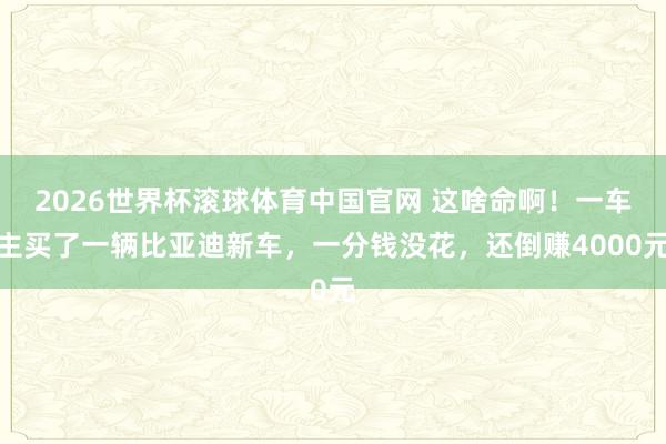2026世界杯滚球体育中国官网 这啥命啊！一车主买了一辆比亚迪新车，一分钱没花，还倒赚4000元