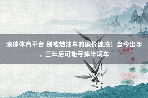 滚球体育平台 别被燃油车的廉价迷惑！当今出手，三年后可能亏掉半辆车