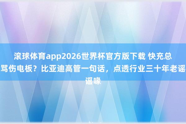 滚球体育app2026世界杯官方版下载 快充总被骂伤电板？比亚迪高管一句话，点透行业三十年老谣喙