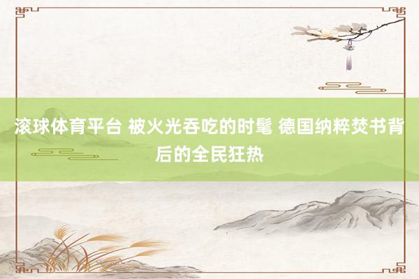 滚球体育平台 被火光吞吃的时髦 德国纳粹焚书背后的全民狂热