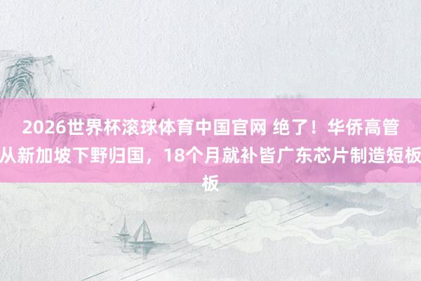 2026世界杯滚球体育中国官网 绝了！华侨高管从新加坡下野归国，18个月就补皆广东芯片制造短板