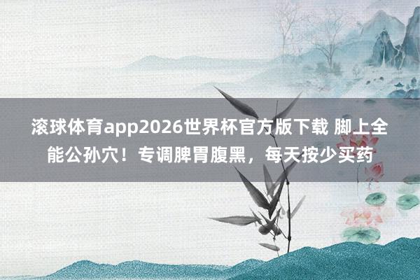 滚球体育app2026世界杯官方版下载 脚上全能公孙穴！专调脾胃腹黑，每天按少买药