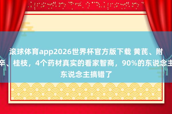 滚球体育app2026世界杯官方版下载 黄芪、附子、细辛、桂枝，4个药材真实的看家智商，90%的东说念主搞错了