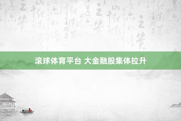 滚球体育平台 大金融股集体拉升