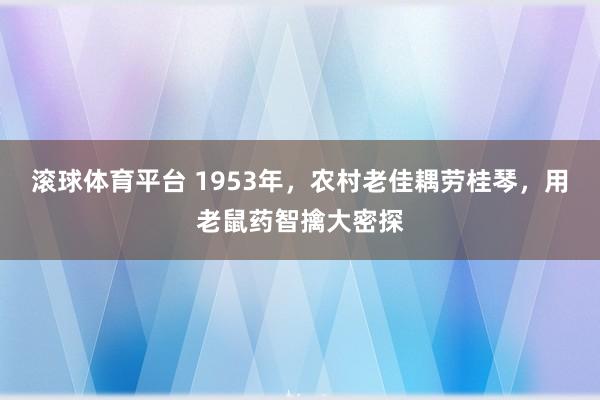 滚球体育平台 1953年，农村老佳耦劳桂琴，用老鼠药智擒大密探