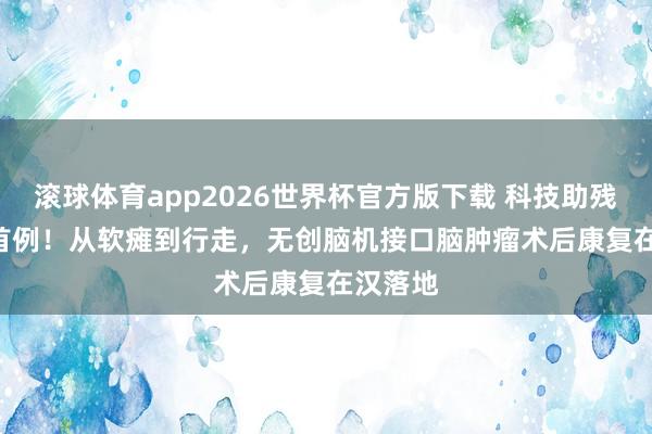 滚球体育app2026世界杯官方版下载 科技助残 | 国内首例！从软瘫到行走，无创脑机接口脑肿瘤术后康复在汉落地