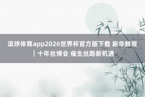 滚球体育app2026世界杯官方版下载 新华鲜报｜十年丝博会 催生丝路新机遇