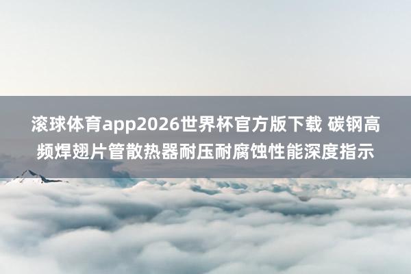 滚球体育app2026世界杯官方版下载 碳钢高频焊翅片管散热器耐压耐腐蚀性能深度指示