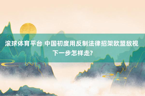 滚球体育平台 中国初度用反制法律招架欧盟敌视 下一步怎样走?