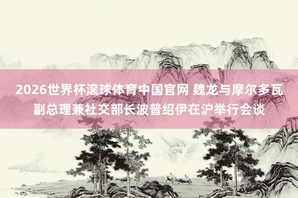 2026世界杯滚球体育中国官网 魏龙与摩尔多瓦副总理兼社交部长波普绍伊在沪举行会谈