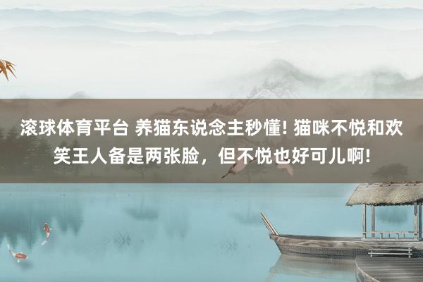 滚球体育平台 养猫东说念主秒懂! 猫咪不悦和欢笑王人备是两张脸，但不悦也好可儿啊!