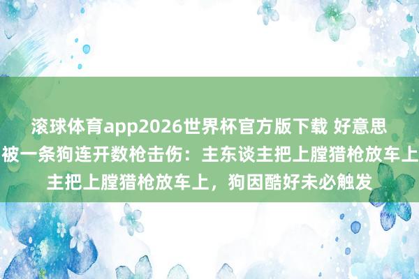 滚球体育app2026世界杯官方版下载 好意思国女司机正等红灯，被一条狗连开数枪击伤：主东谈主把上膛猎枪放车上，狗因酷好未必触发