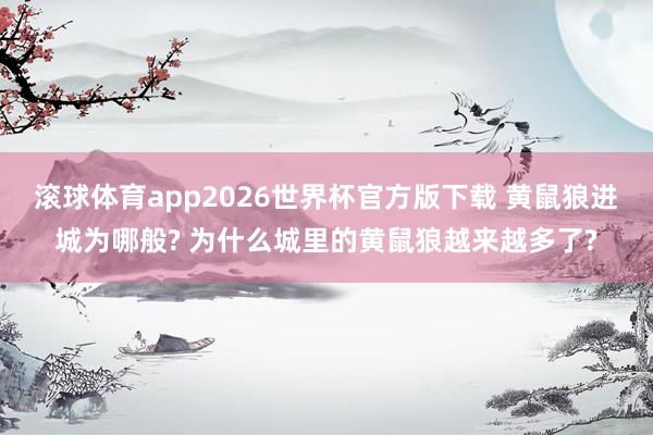 滚球体育app2026世界杯官方版下载 黄鼠狼进城为哪般? 为什么城里的黄鼠狼越来越多了?