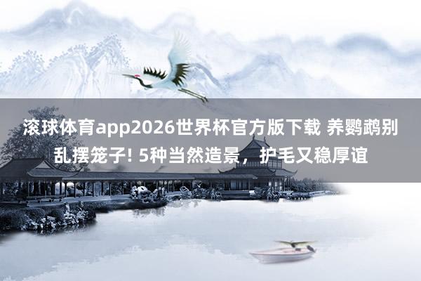 滚球体育app2026世界杯官方版下载 养鹦鹉别乱摆笼子! 5种当然造景，护毛又稳厚谊