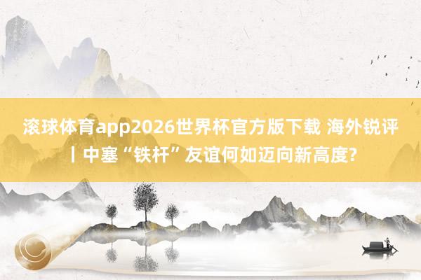 滚球体育app2026世界杯官方版下载 海外锐评丨中塞“铁杆”友谊何如迈向新高度?