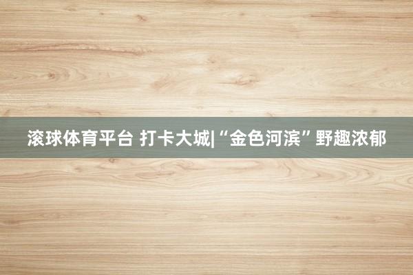 滚球体育平台 打卡大城|“金色河滨”野趣浓郁
