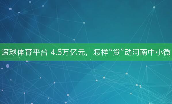滚球体育平台 4.5万亿元，怎样“贷”动河南中小微