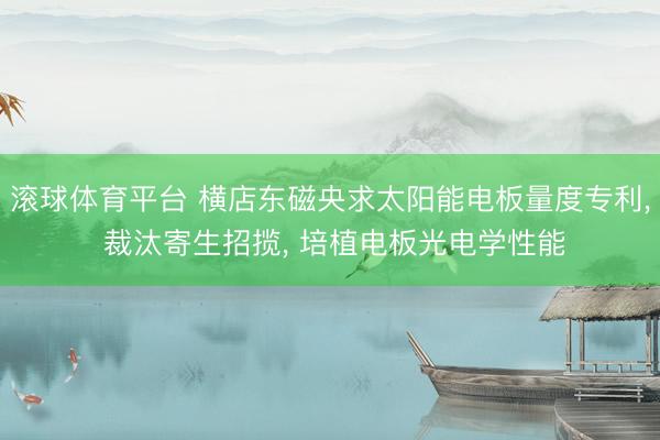 滚球体育平台 横店东磁央求太阳能电板量度专利， 裁汰寄生招揽， 培植电板光电学性能