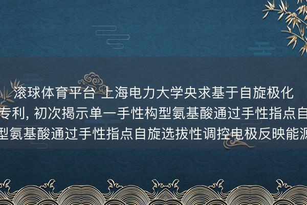 滚球体育平台 上海电力大学央求基于自旋极化手性添加剂的电解液专利， 初次揭示单一手性构型氨基酸通过手性指点自旋选拔性调控电极反映能源学
