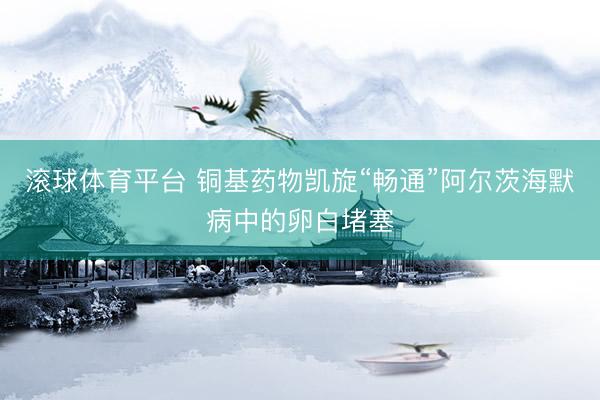 滚球体育平台 铜基药物凯旋“畅通”阿尔茨海默病中的卵白堵塞