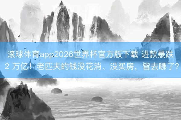 滚球体育app2026世界杯官方版下载 进款暴跌 2 万亿！老匹夫的钱没花消、没买房，皆去哪了？